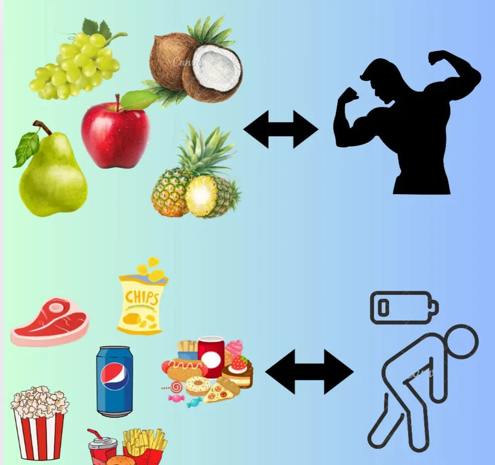 FitBody NEXBUY DG Art